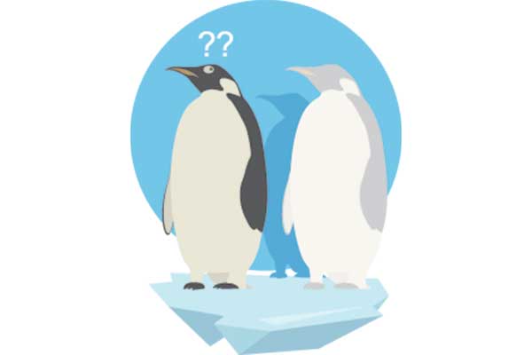 Koloni Penguin Kaisar Lenyap