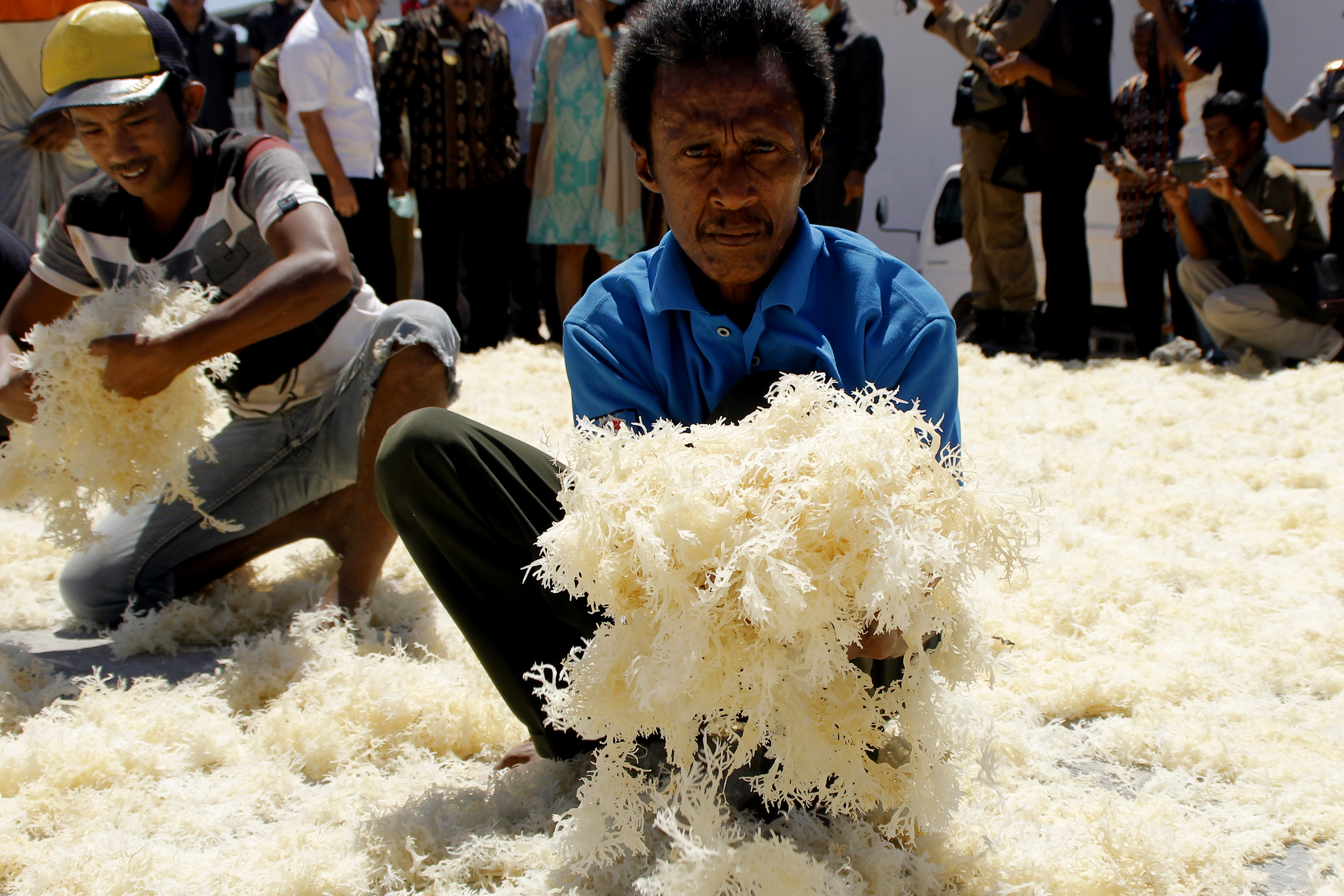 DINAS Kelautan dan Perikanan NTT mencatat produksi rumput laut basah di daerah itu pada 2019  naik mencapai 2,4 juta ton