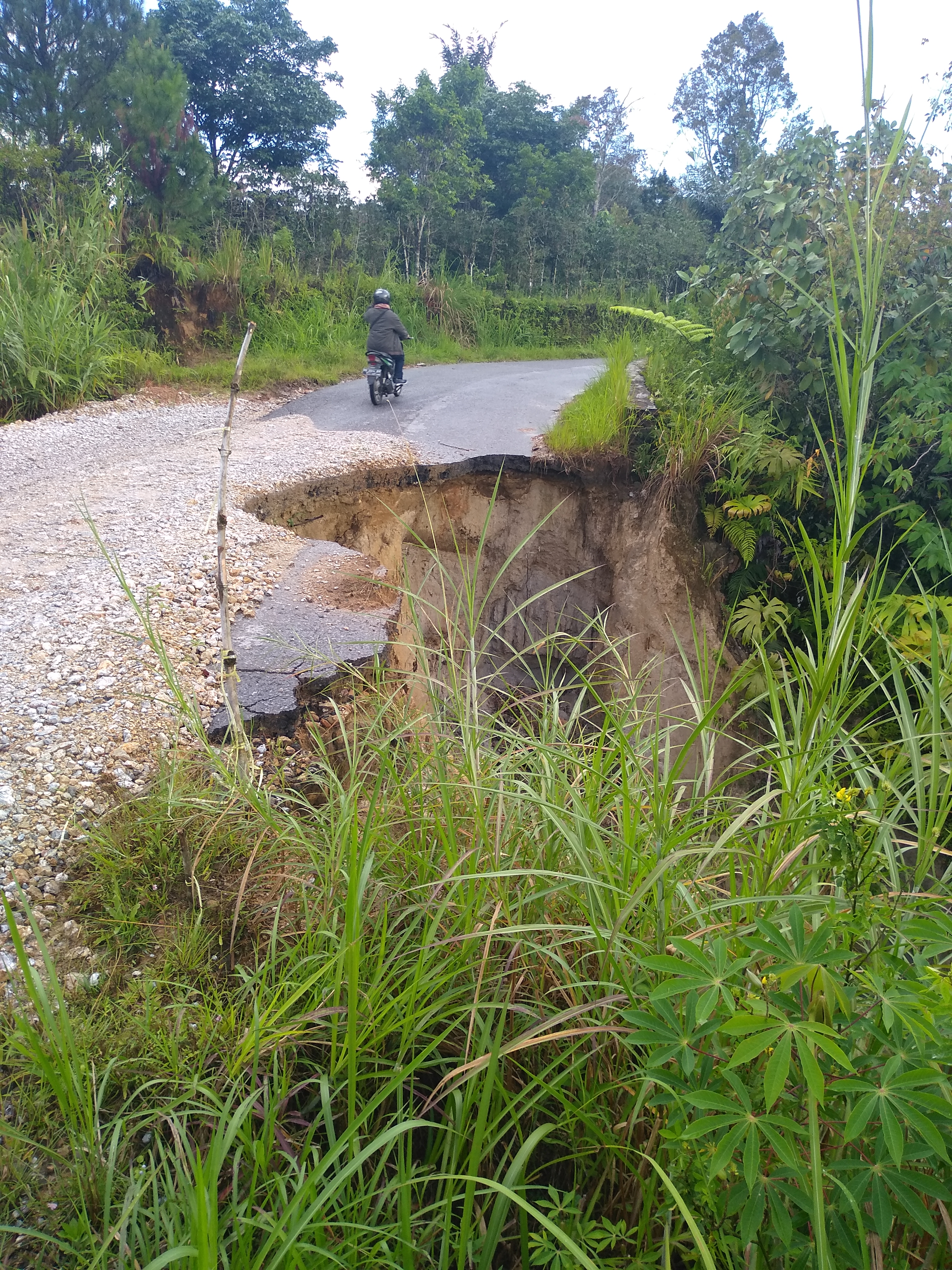 Kondisi jalan provinsi Pangaribuan yang longsor