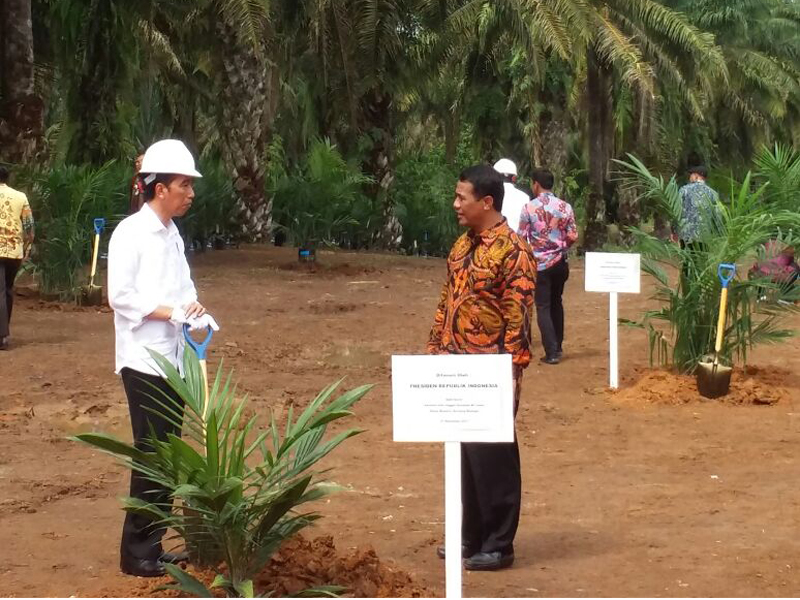 Presiden Jokowi didampingi Mentan Amran Sulaiman meninjau program Peremajaan Sawit Rakyat di Serdang Bedagai, Sumut, 27 November 2017.