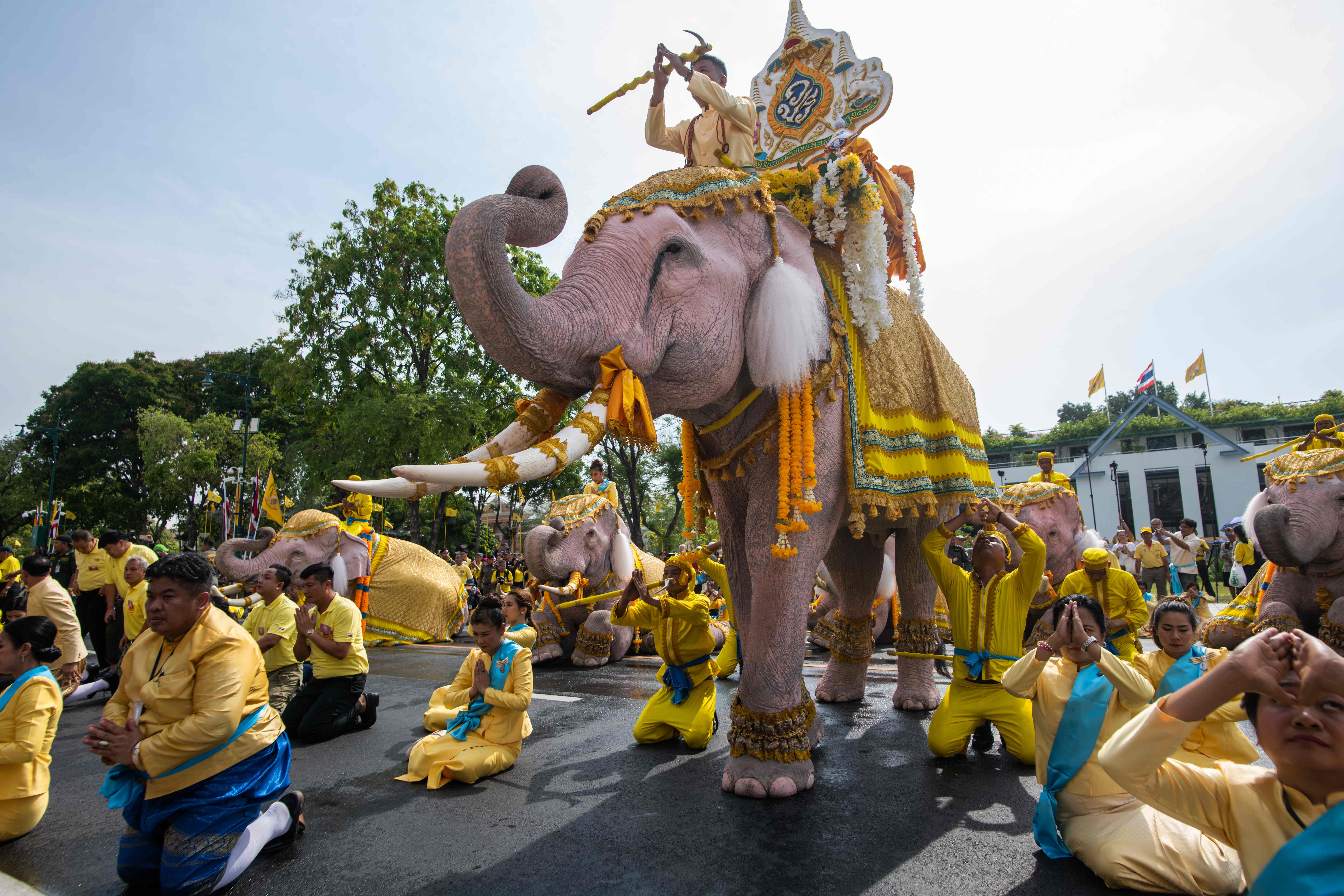 Barisan gajah memberi penghormatan kepada Raja baru Thailand Maha Vajiralongkorn.