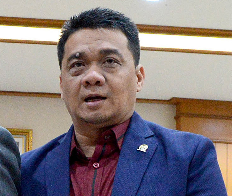 Politikus Gerindra Ahmad Riza Patria