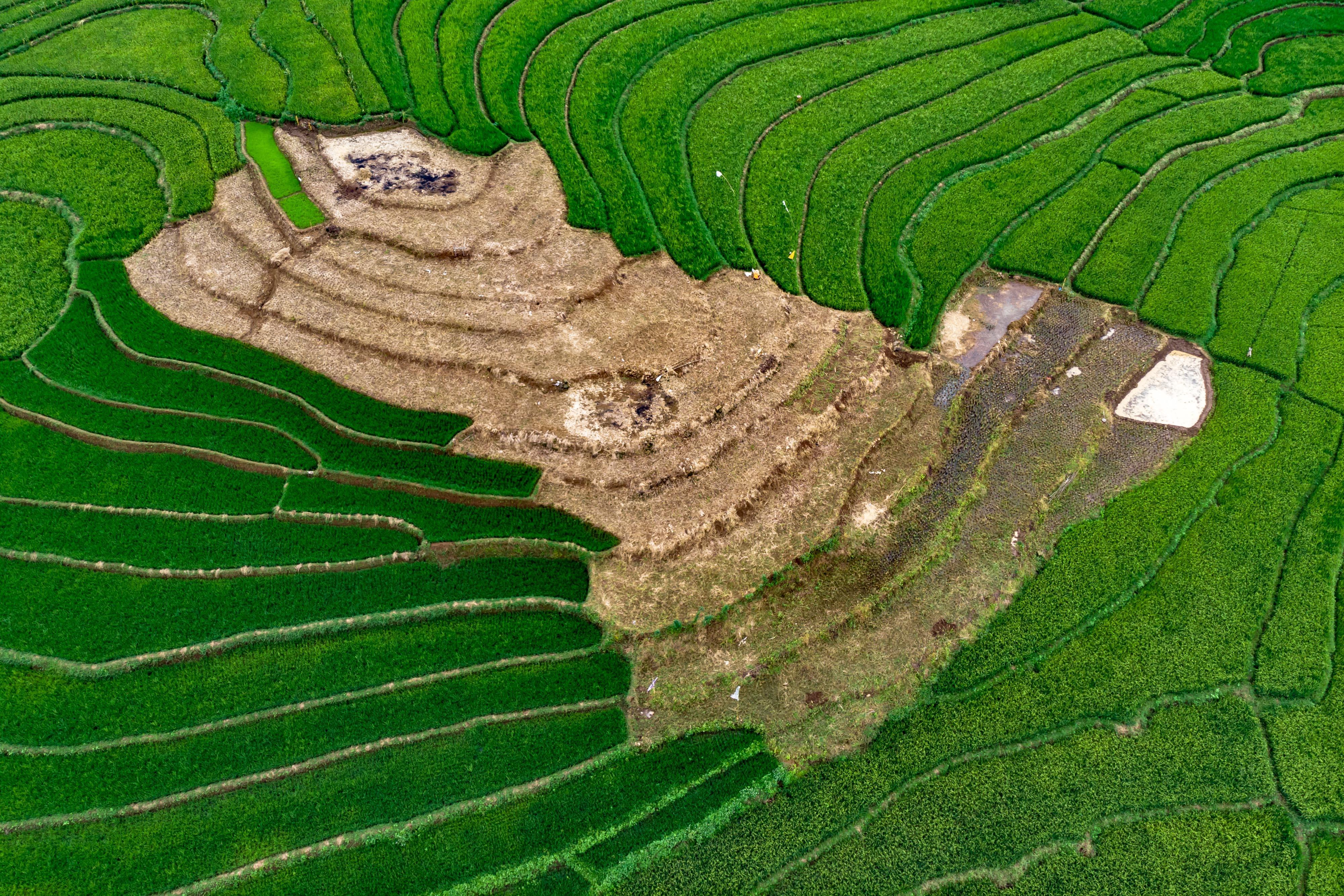 Foto udara area persawahan di Ungaran, Jawa Tengah