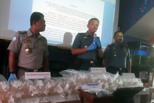 Danlanal Bandung, Kolonel Laut (p) Sunar Solehuddin (tengah) memberikan keterangan terkait upaya penyeludupan ribuan benih lobster