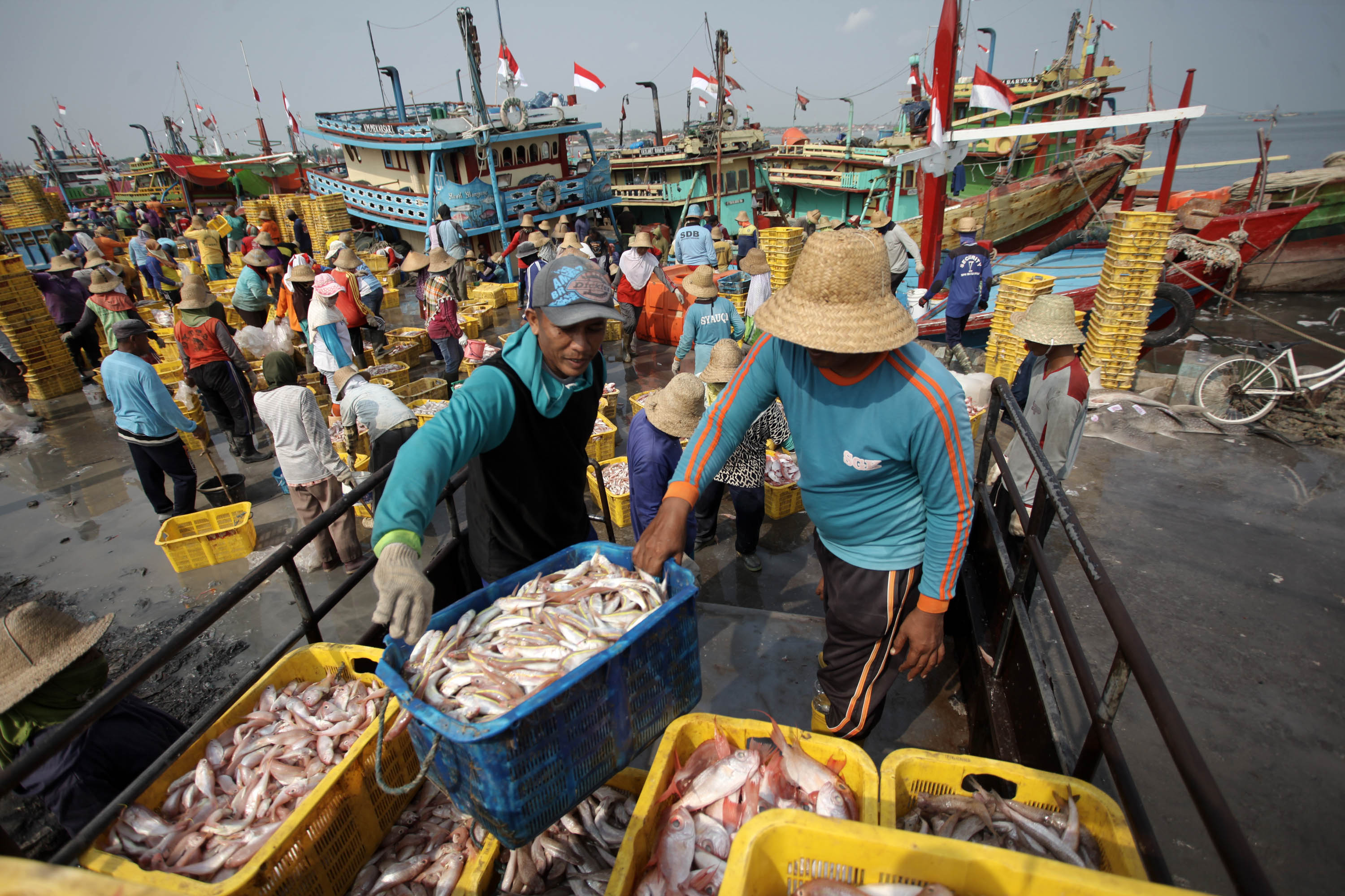 Buruh dan nelayan cantrang melakukan bongkar muat ikan di Pelabuhan Tasik Agung, Rembang, Jawa Tengah.