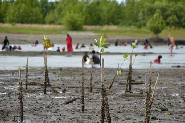  Warga beraktivitas di kawasan hutan mangrove pesisir Desa Lampulo, Banda Aceh, Minggu (7/4/2019). 