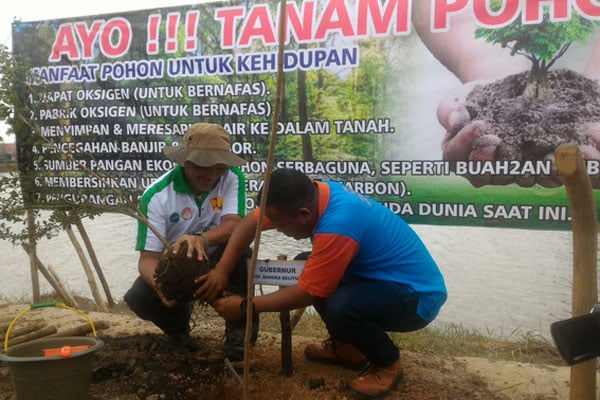 PENANAMAN POHON DI BABEL