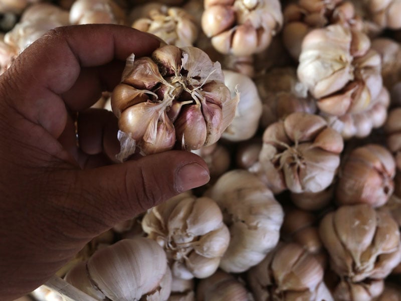 Pedagang menata bawang putih yang dijajakan di pasar Ulee Kareng, Banda Aceh, Aceh