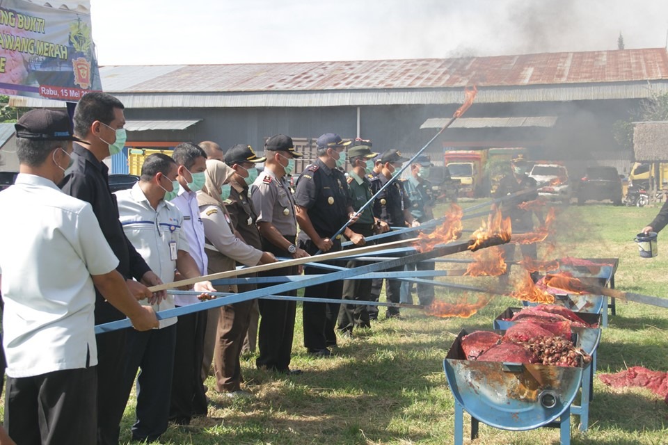 Proses pemusnahan bawang merah impor ilegal oleh Bea Cukai Lhokseumawe