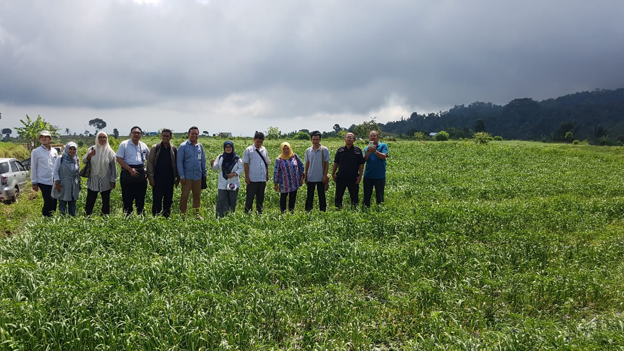 Sekretaris Direktorat Jenderal Hortikultura, Liliek Sri beserta rombongan saat meninjau kawasan bawang putih bantuan APBN 2018 seluas 500 ha