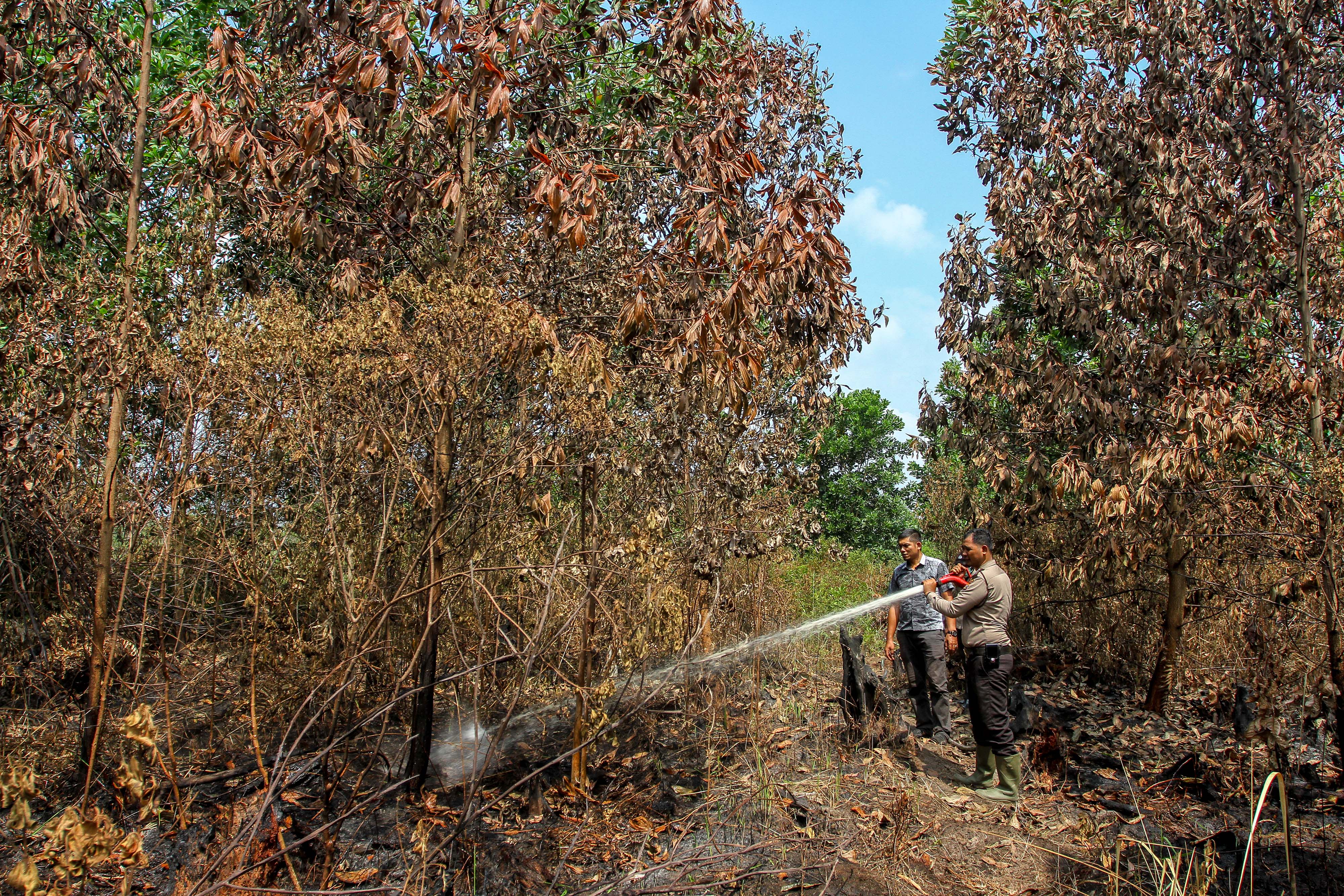 Balai Penelitian Pertanian Lahan Rawa wilayah Kalimantan Selatan dan Kalimantan Tengah akan melakukan pemutakhiran peta rawa dan gambut