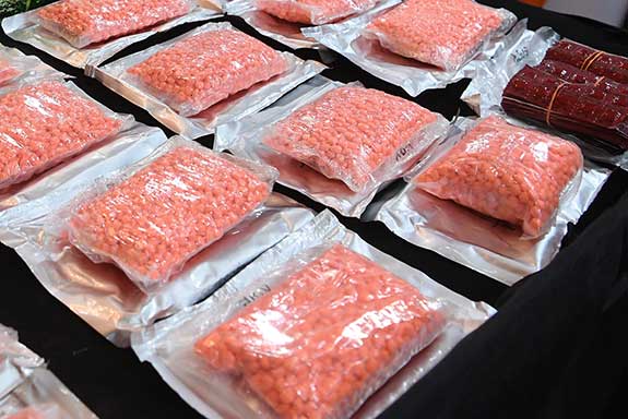 pengungkapan 4.874 pil ekstasi 