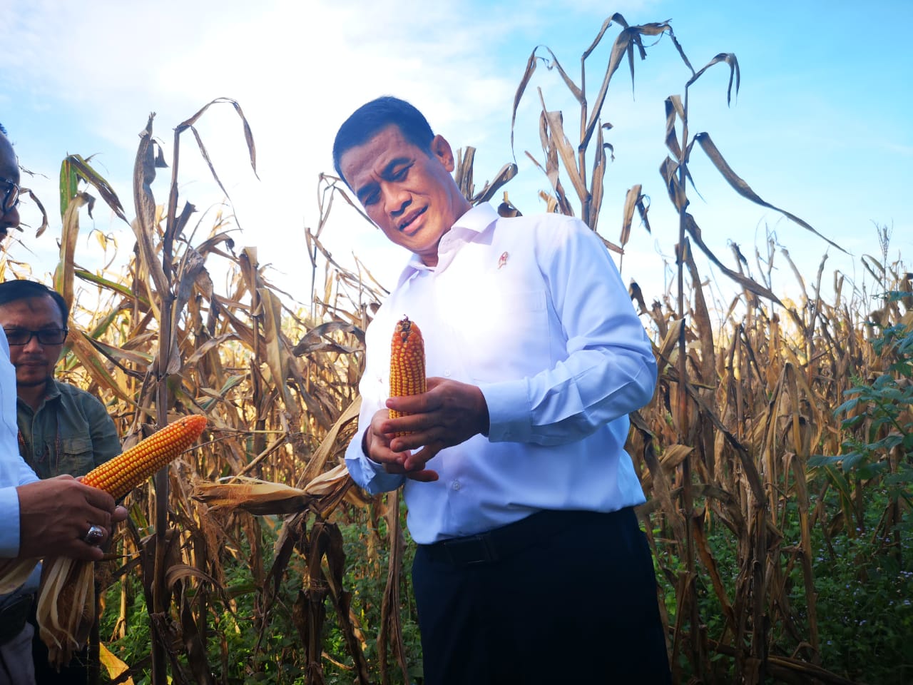 Menteri Pertanian Amran Sulaiman 