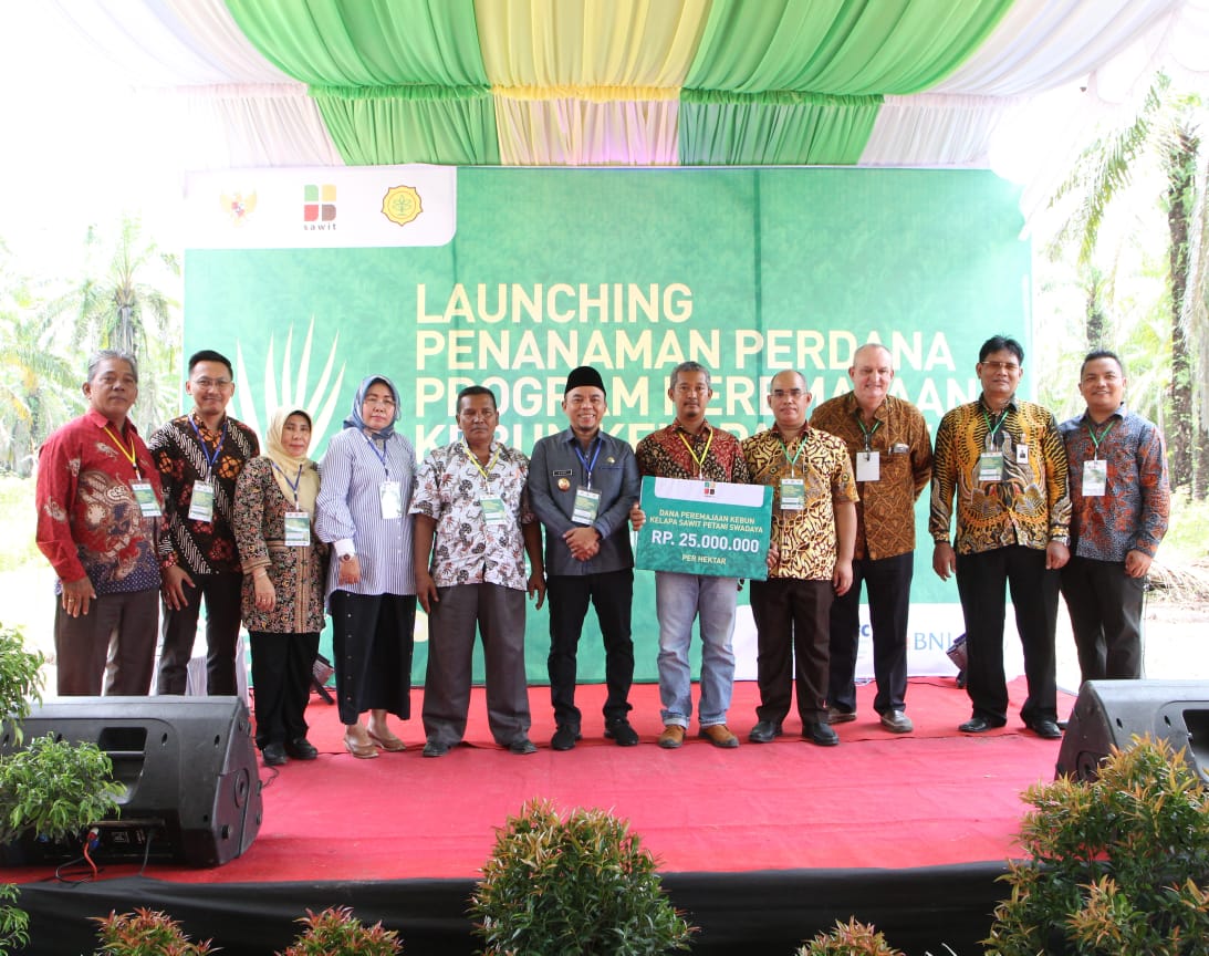 Musim Mas Grup memberikan pendampingan kepada petani dalam proses peremajaan tanaman kelapa sawit.