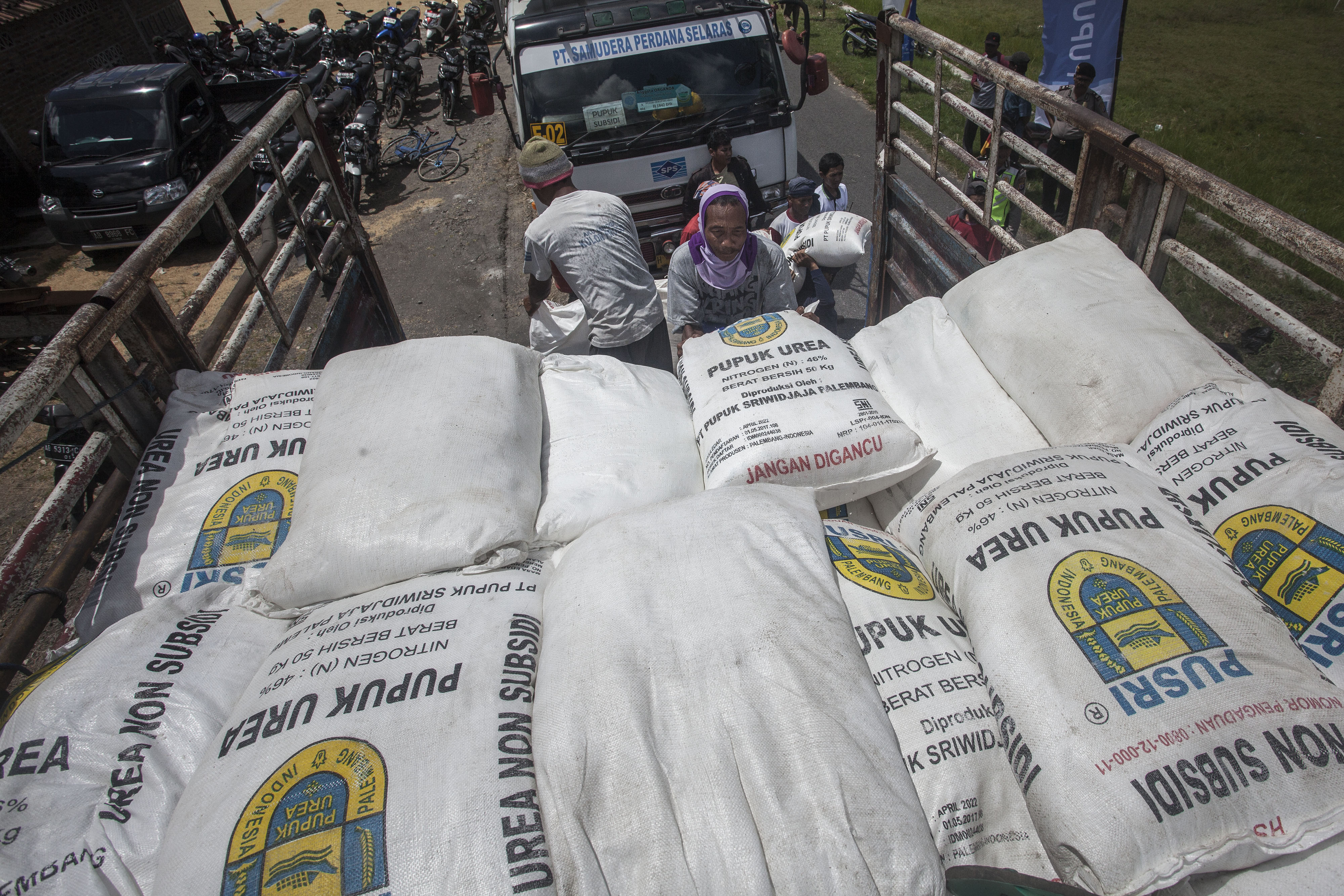 Sejumlah pekerja memindahkan pupuk urea ke salah satu gudang persediaan pupuk Desa Blang Sapek