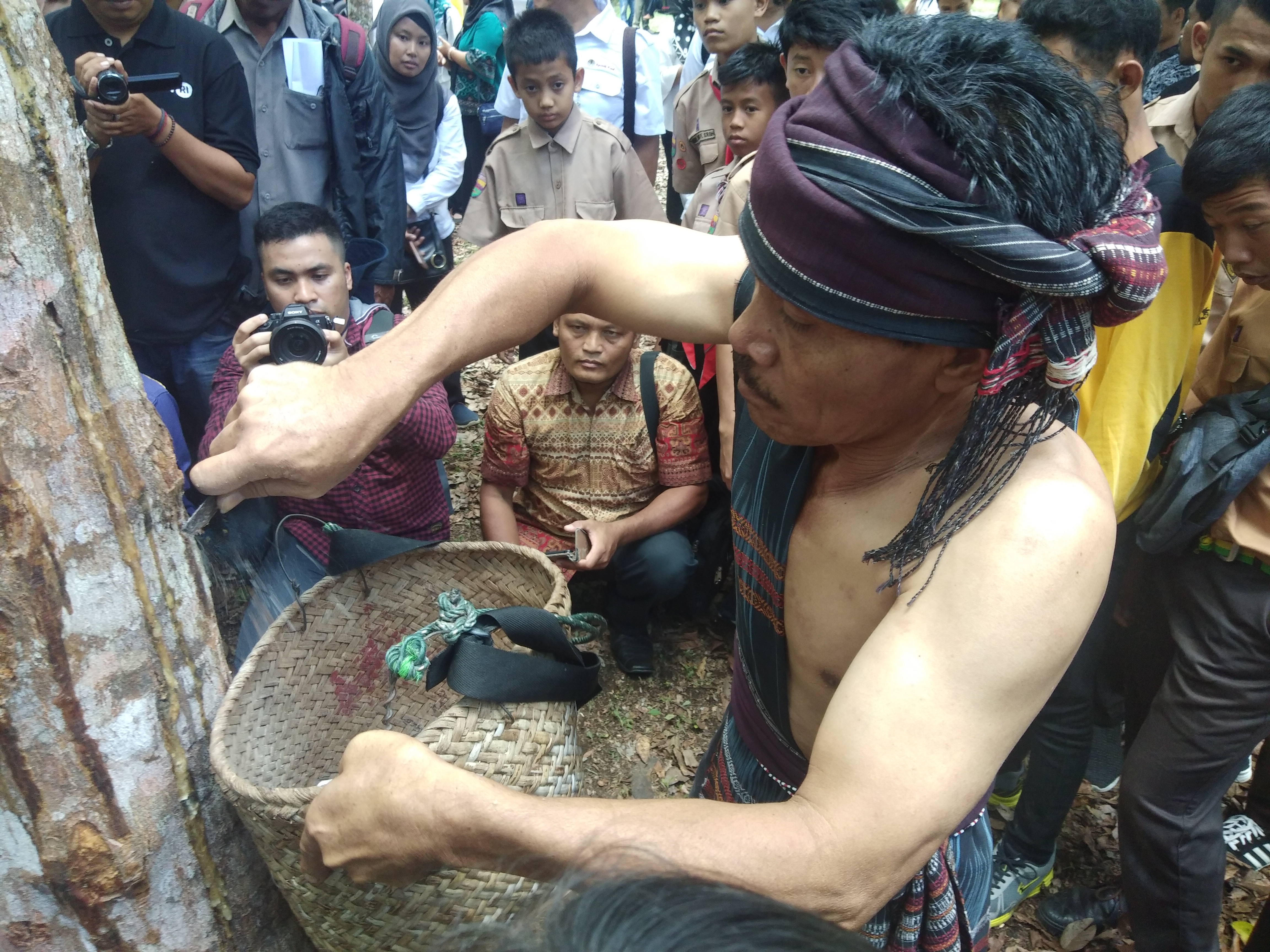 Petani lokal di Kawasan Hutan Dengan Tujuan Khusus (KHDTK) Aek Nauli, Sumatra Utara, menyadap pohon kemenyan untuk mengambil getah 
