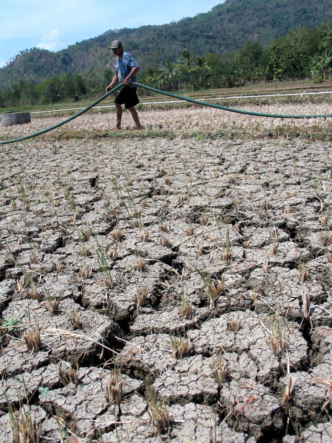 Seorang petani memegang selang air yang terpasang dari pompa genset untuk dialirkan ke sawahnya di Imogiri, Bantul, Yogyakarta