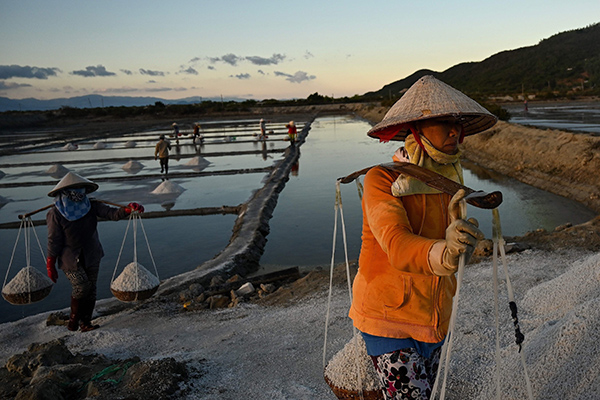 Petani garam di Vietnam