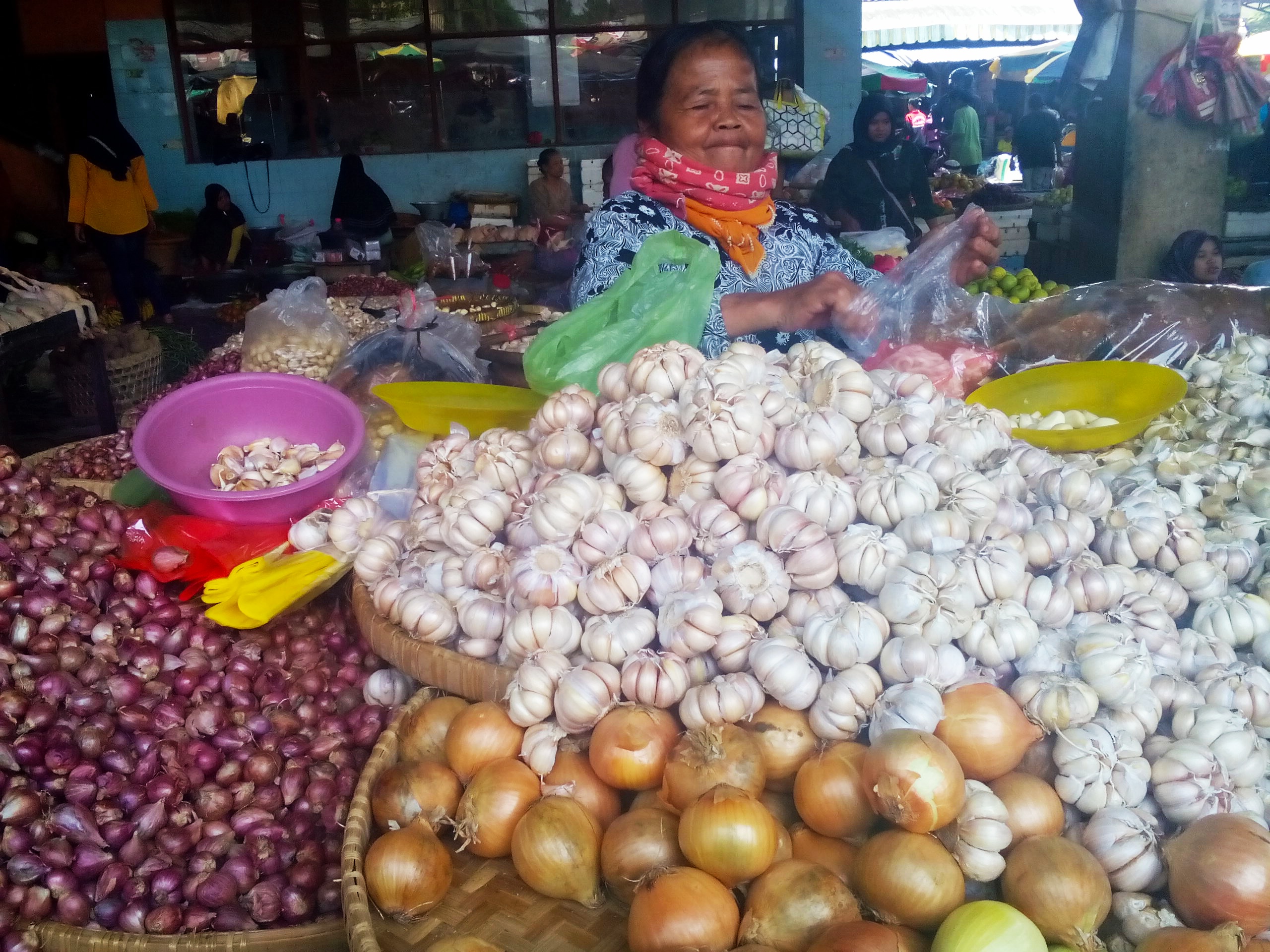 Harga bawang putih di pasaran.