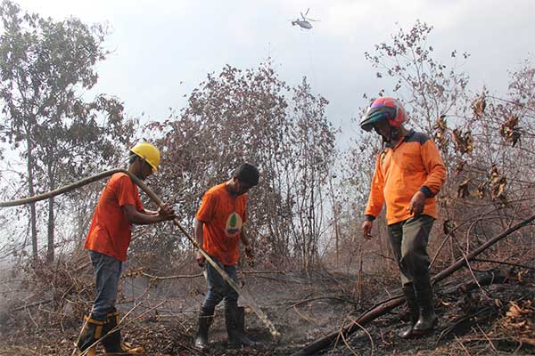 Sejumlah relawan Masyarakat Peduli Api (MPA) melakukan proses pendinginan pada lahan gambut yang terbakar di kawasan hutan lindung kelurahan