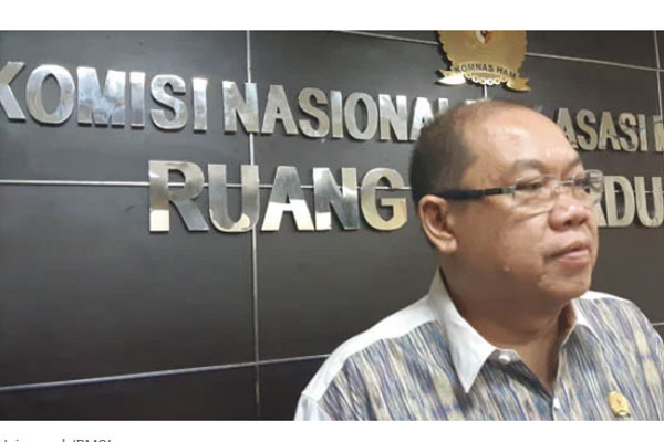  Wakil Ketua Bidang Internal Komnas HAM Hairiansyah 