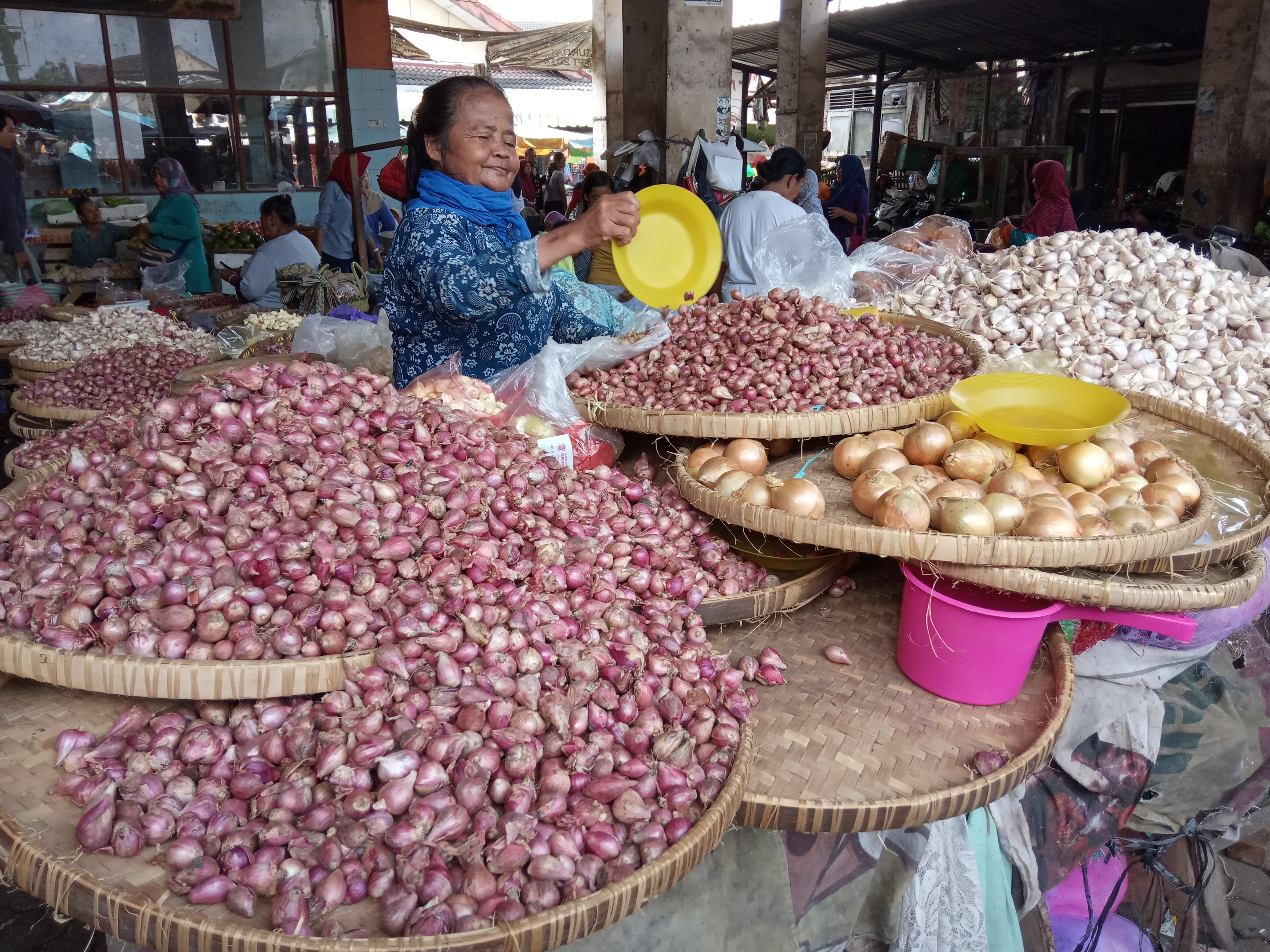 Harga bawang putih di Malang turun dari Rp70 ribu per kg menjadi Rp45 ribu per kg. 