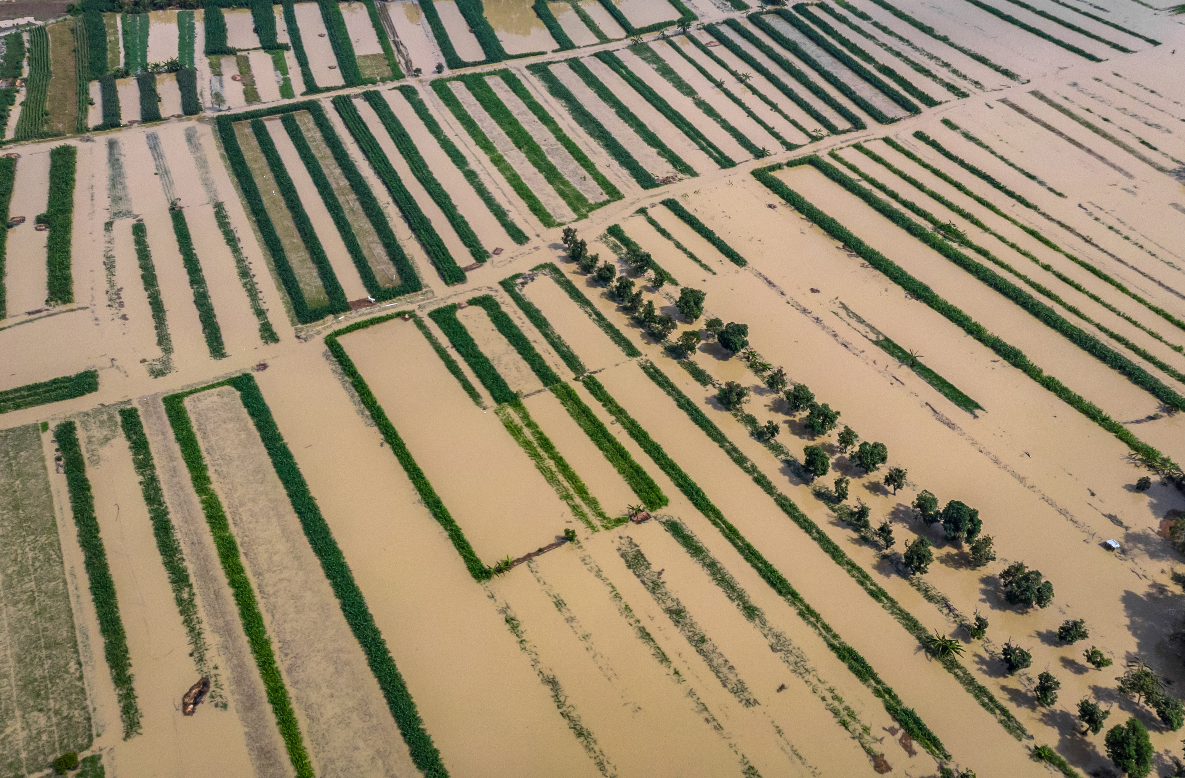 Foto udara areal lahan pertanian yang terendam banjir di Desa Waru, Mranggen, Demak, Jawa Tengah, Selasa (9/4).
