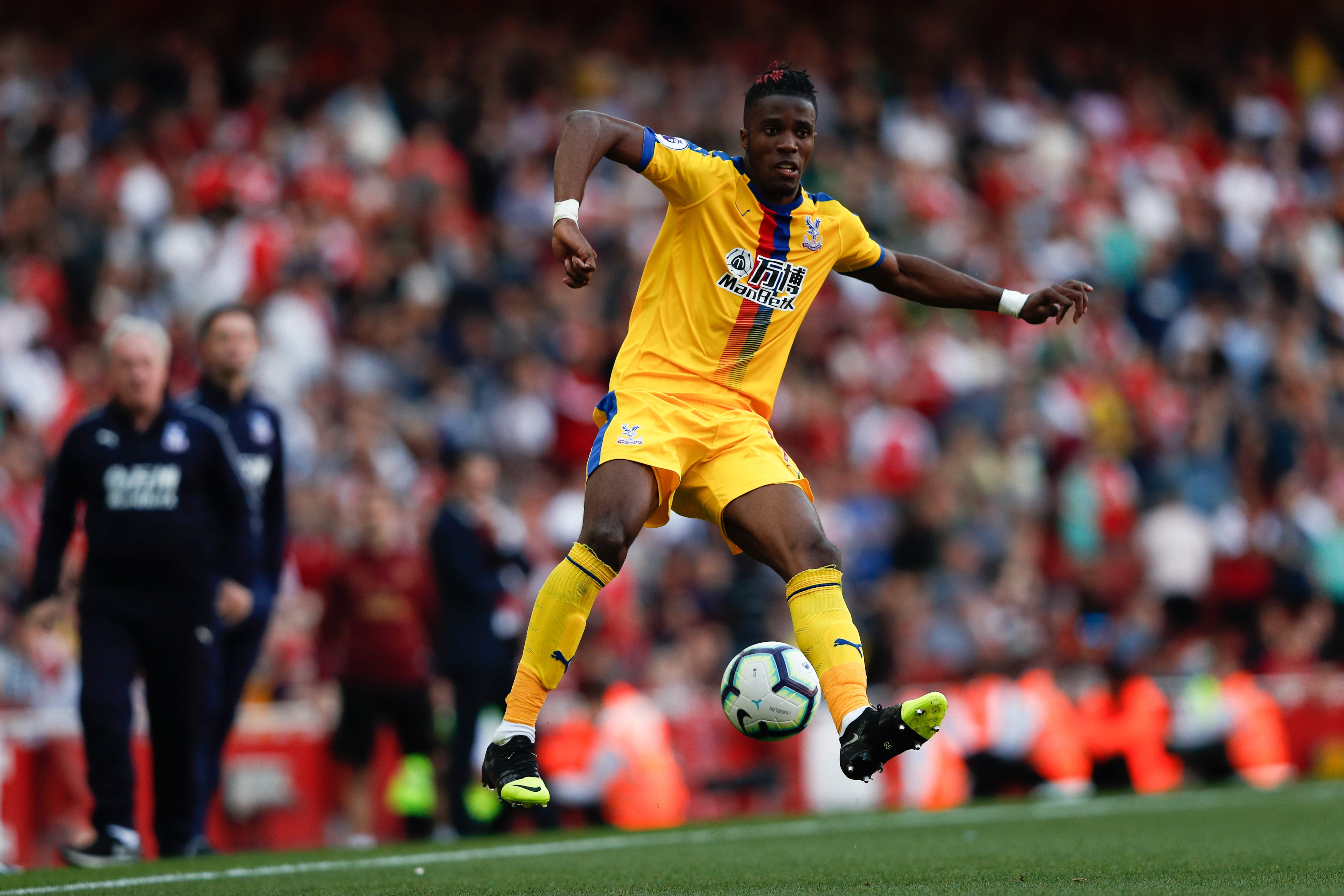 Striker Pantai Gading Crystal Palace, Wilfried Zaha