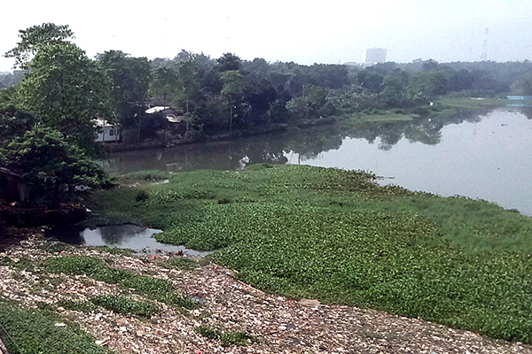 Situ Pengarengan, Depok