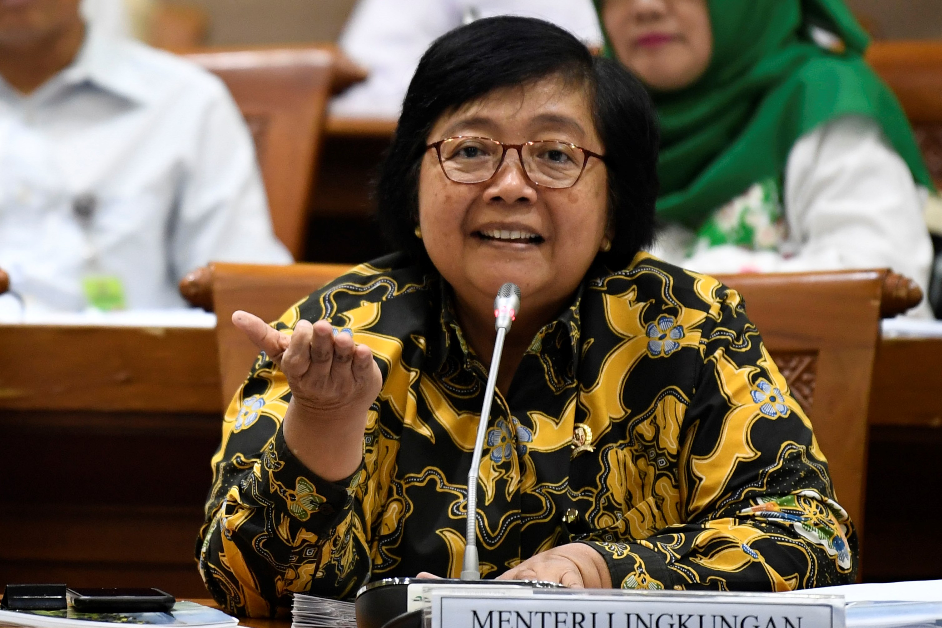 Menteri Lingkungan Hidup dan Kehutanan Siti Nurbaya