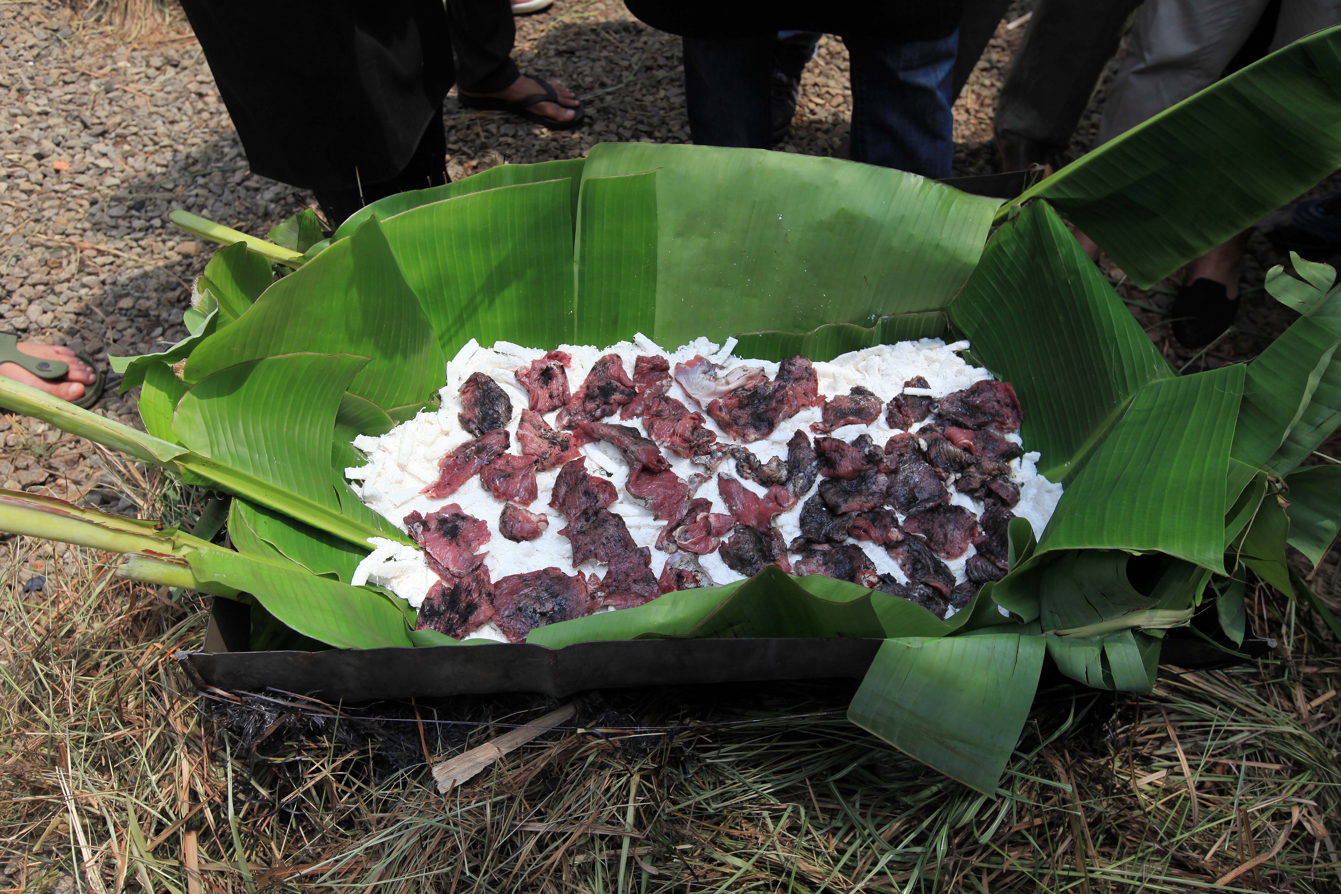 Ilustrasi masakan sagu