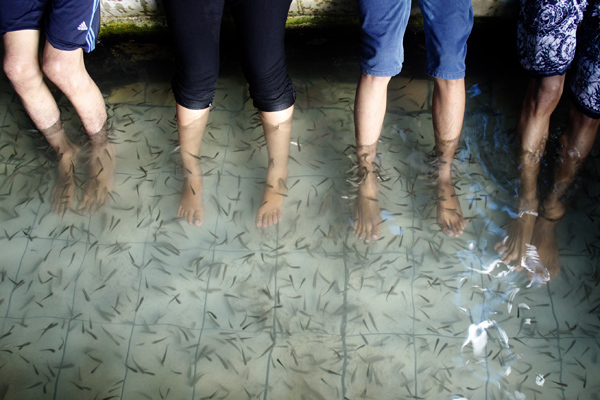 Ilustrasi : Pengunjung menikmati terapi ikan di kolam desa Belae, Kecamatan Minasate'ne, Kabupaten Pangkep, Sulawesi Selatan.