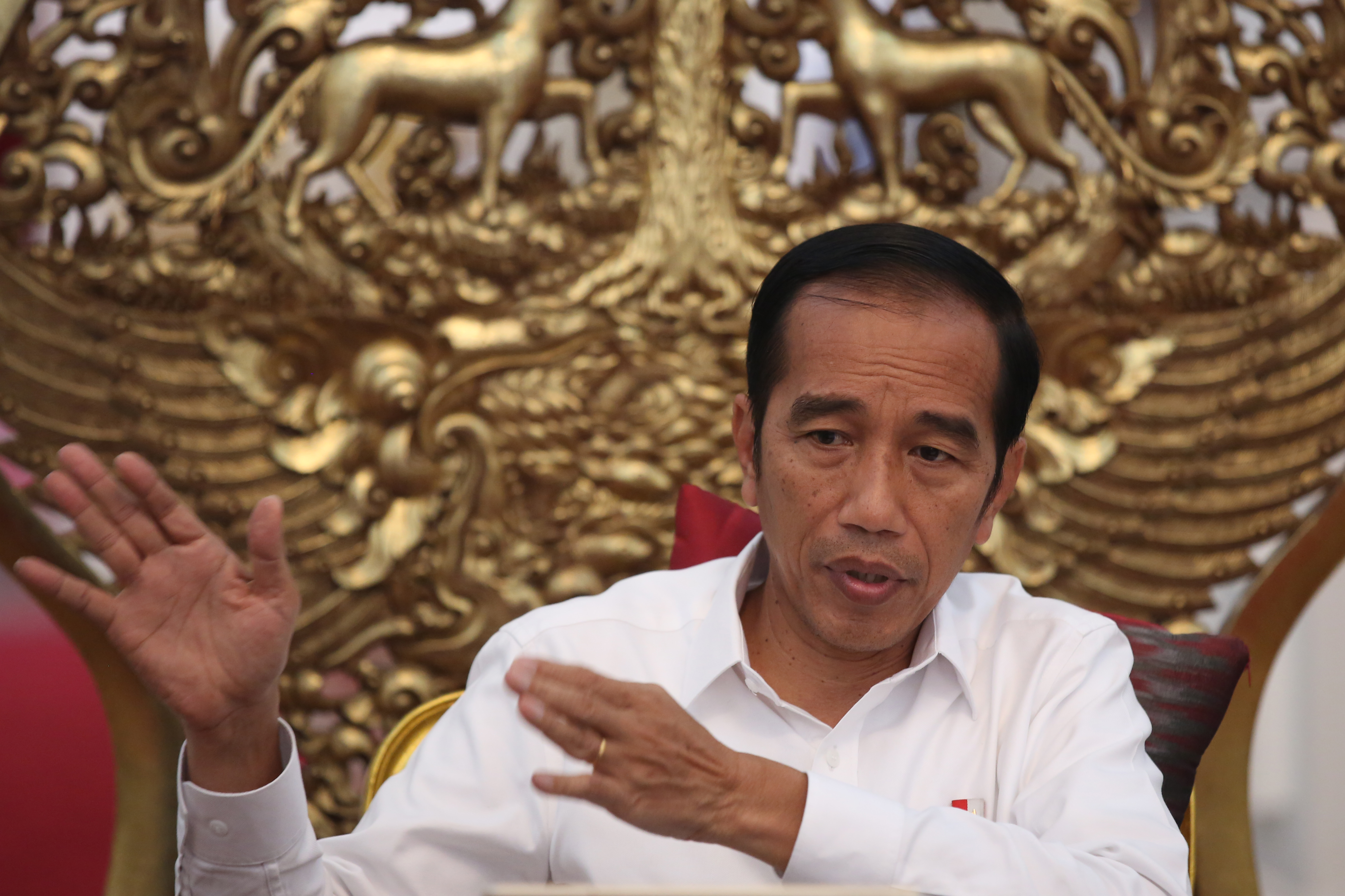 PRESIDEN Joko Widodo 
