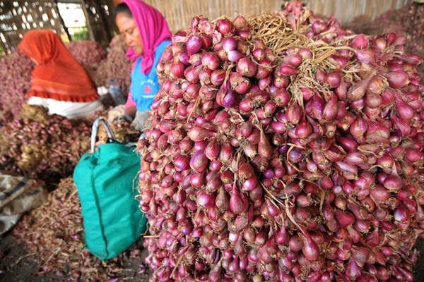 Harga bawang merah selama puasa dan  Lebaran terkendali.