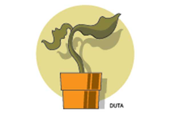 Ilustrasi Spesies Tanaman Punah