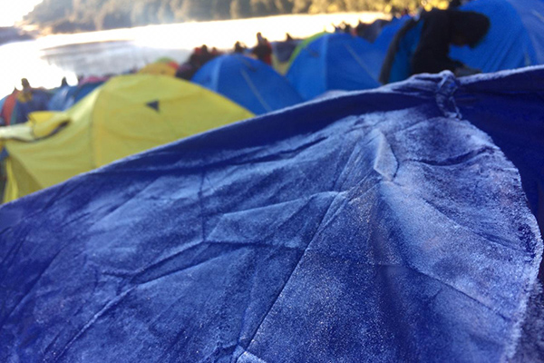 Embun Upas di Kawasan Gunung Semeru