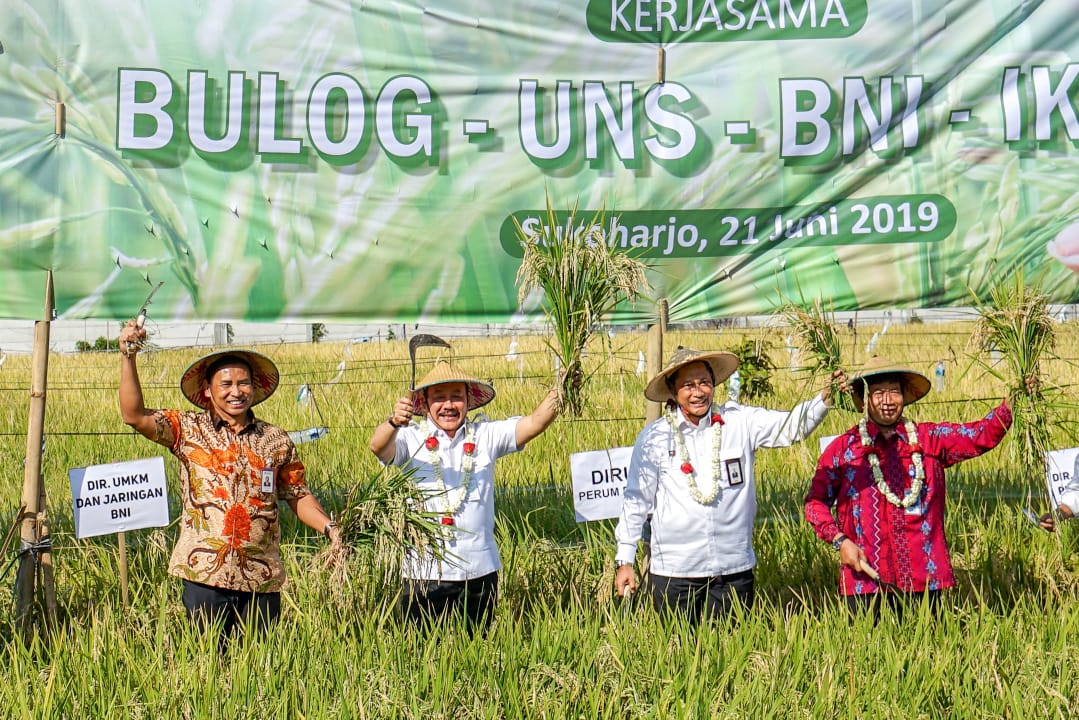 Kerja sama BNI-Bulog-UNS untuk sektor pertandingan