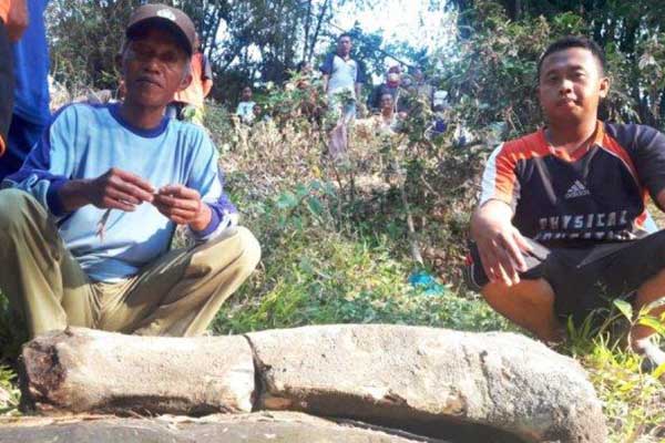  Fosil tulang raksasa diduga fosil tulang kaki gajah purba (Stegodon) di sungai Ketonggo Ngawi   