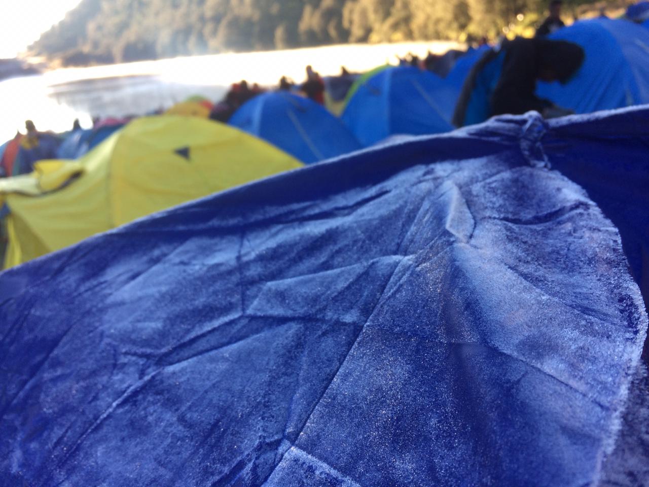 Fenomena Embun Upas Mulai Muncul di jalur pendakian Gunung Semeru di Ranupani, Lumajang, dan Pananjakan, Gunung Bromo, Probolinggo.