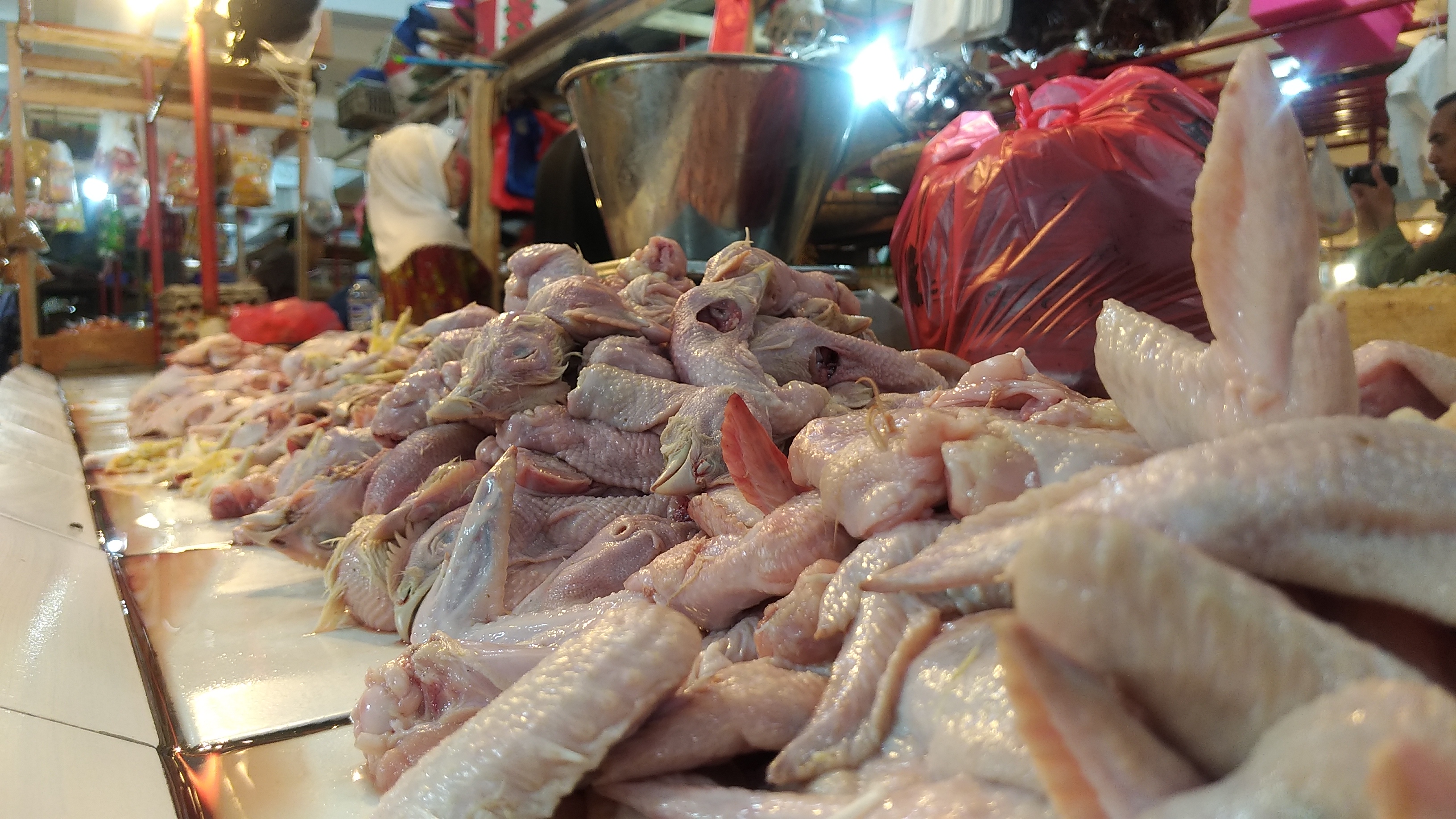 harga ayam