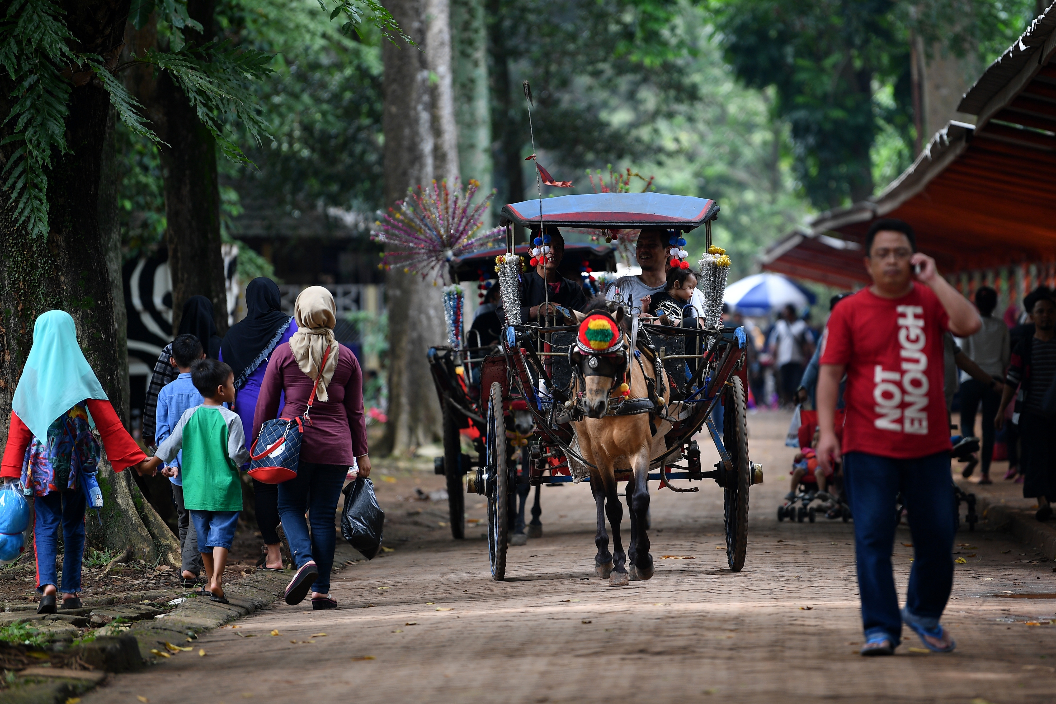Pengunjung menaiki delman untuk berkeliling di Taman Margasatwa Ragunan, Jakarta Selatan.