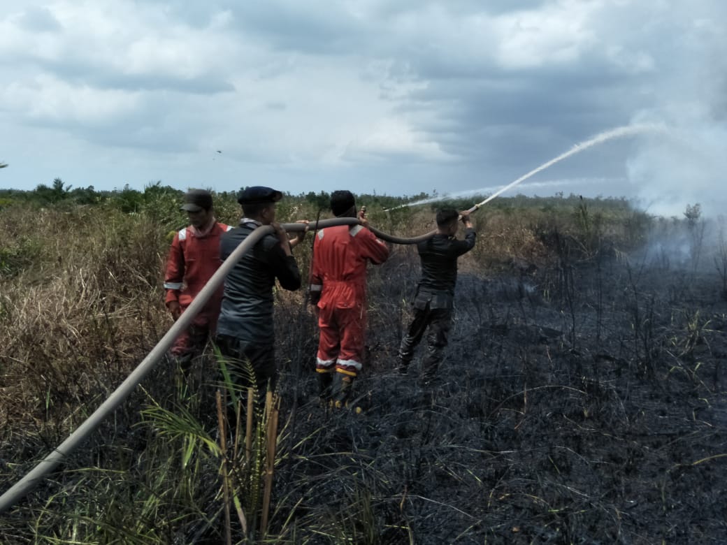 Saat ini kekeringan pun mulai terlihat dan ditandai dengan terjadinya kebakaran hutan dan lahan (karhutla) di sejumlah wilayah. 