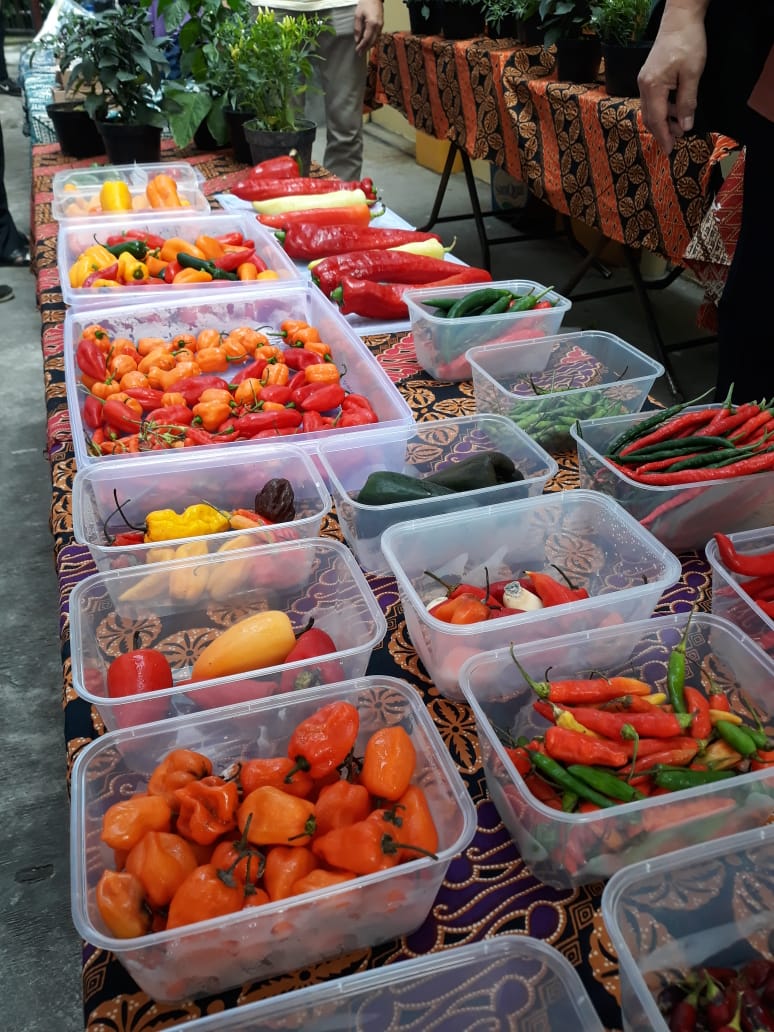 Berbagai jenis cabai yang ditampilkan dalam festival cabai