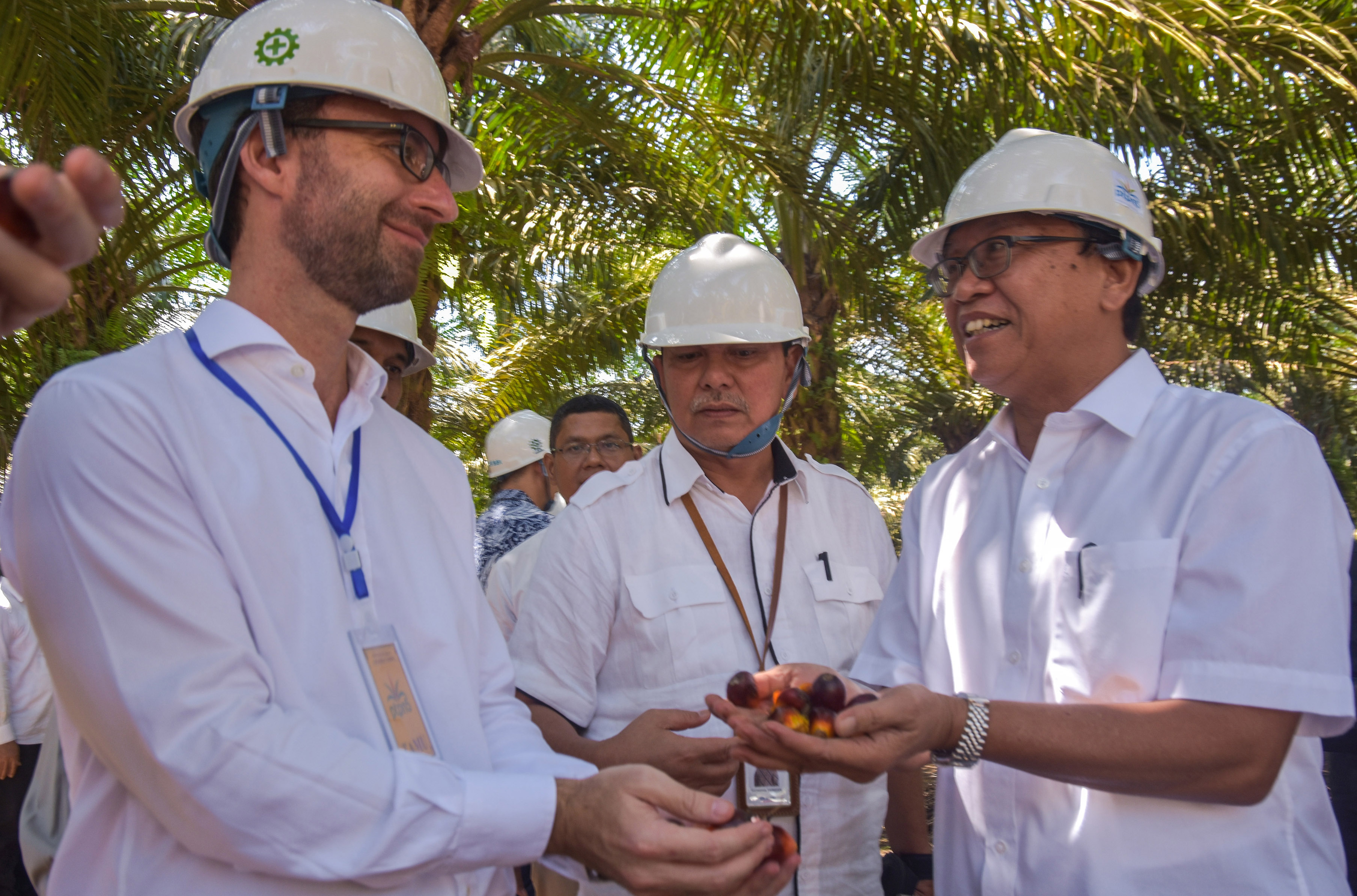 Delegasi UE saat meninjau perkebunan sawit di Riau