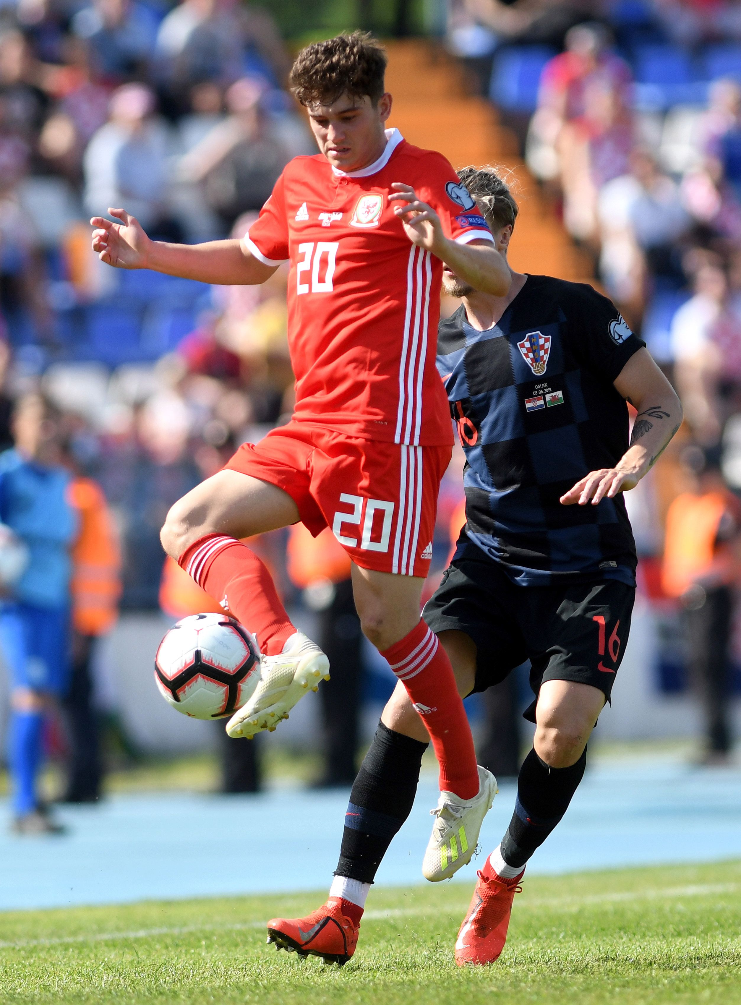 Danniel James saat membela Wales di Kualifikasi Piala Eropa 2020