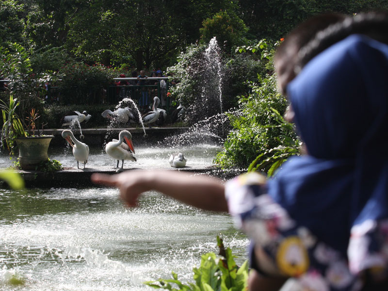 Warga memadati Taman Margasatwa Ragunan, Jakarta.