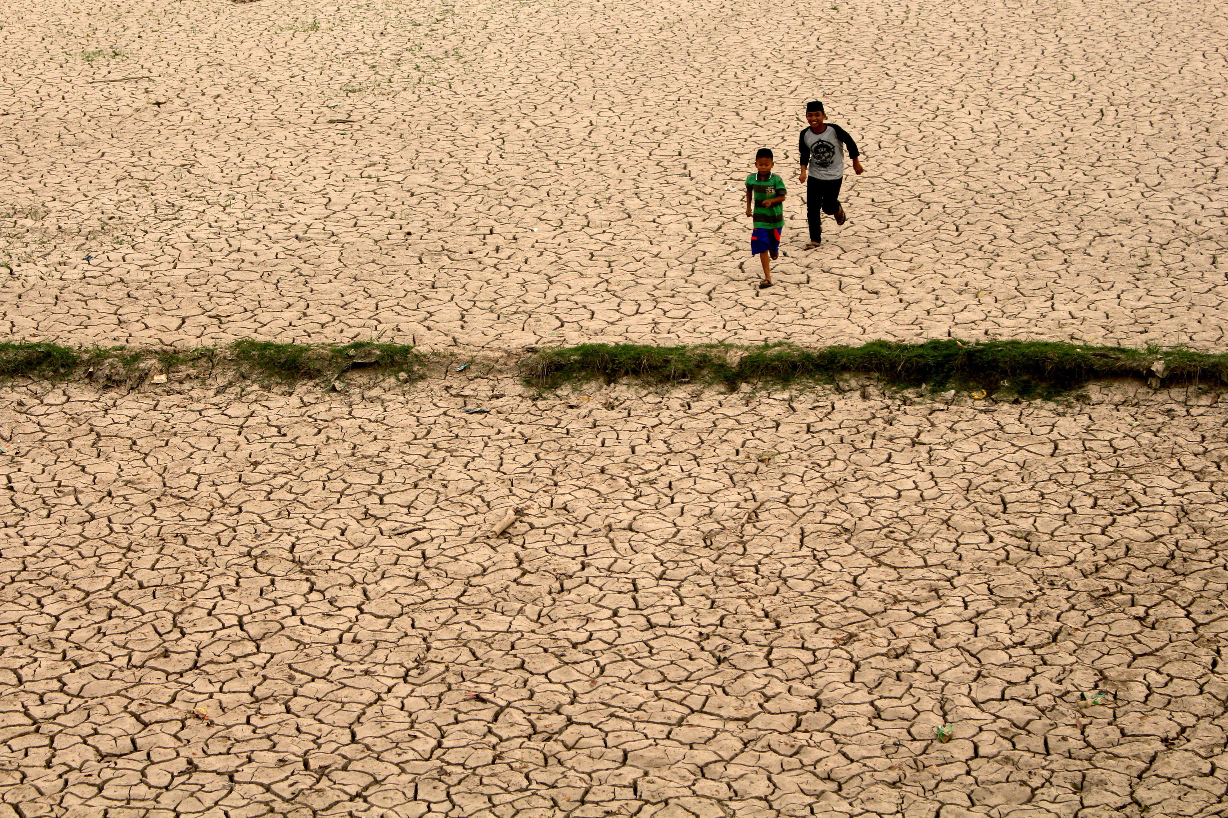 Sawah terdampak kekeringan