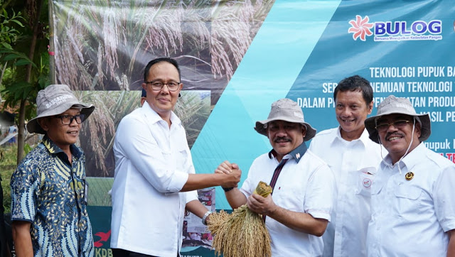 panen dari hasil pupuk batubara FKDB