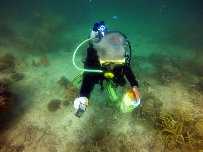 Penyelam sedang membersikan sampah plastik. Saat ini tanpa disadari manusia telah mengonsumsi 5 gram plastik dalam seminggu. 