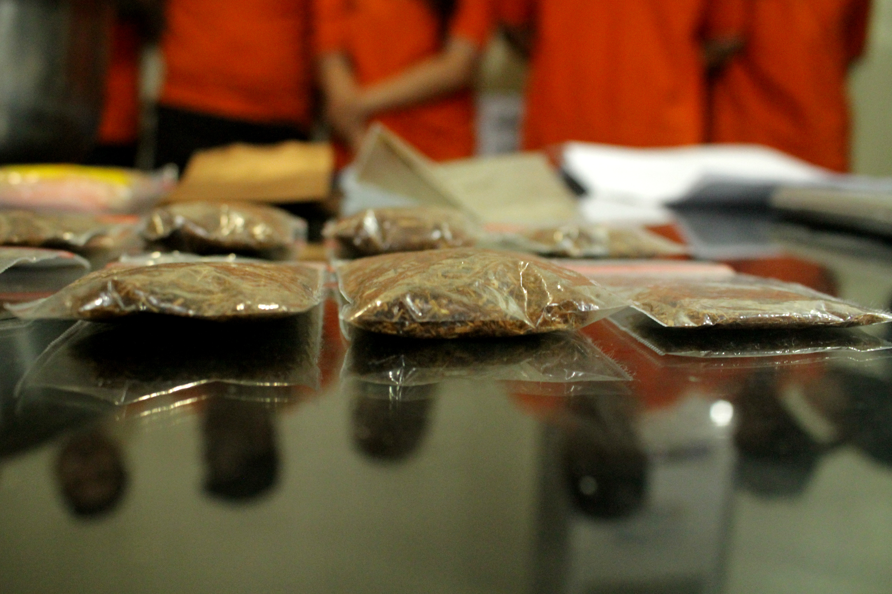 Narkotika jenis ganja